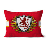 Boro Breakdown Cushion